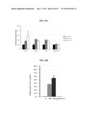 ENOLASE 1 (ENO1) COMPOSITIONS AND USES THEREOF diagram and image