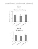 ENOLASE 1 (ENO1) COMPOSITIONS AND USES THEREOF diagram and image