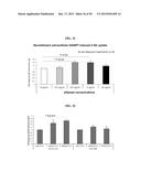 ENOLASE 1 (ENO1) COMPOSITIONS AND USES THEREOF diagram and image