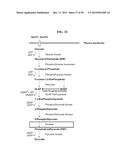 ENOLASE 1 (ENO1) COMPOSITIONS AND USES THEREOF diagram and image