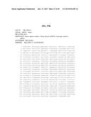 ENOLASE 1 (ENO1) COMPOSITIONS AND USES THEREOF diagram and image