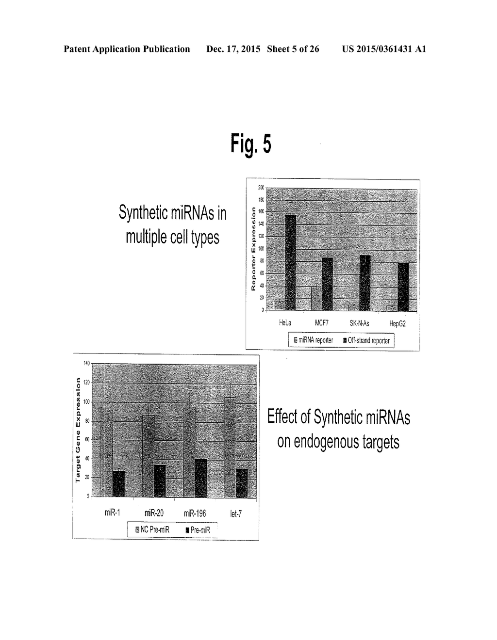 METHODS AND COMPOSITIONS INVOLVING MIRNA AND MIRNA INHIBITOR MOLECULES - diagram, schematic, and image 06