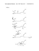 HIGHLY SELECTIVE NUCLEIC ACID AMPLIFICATION PRIMERS diagram and image