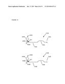 HIGHLY SELECTIVE NUCLEIC ACID AMPLIFICATION PRIMERS diagram and image