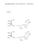 HIGHLY SELECTIVE NUCLEIC ACID AMPLIFICATION PRIMERS diagram and image