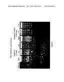 DETECTION OF ANALYTES AND NUCLEIC ACIDS diagram and image