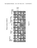 DETECTION OF ANALYTES AND NUCLEIC ACIDS diagram and image