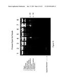 DETECTION OF ANALYTES AND NUCLEIC ACIDS diagram and image