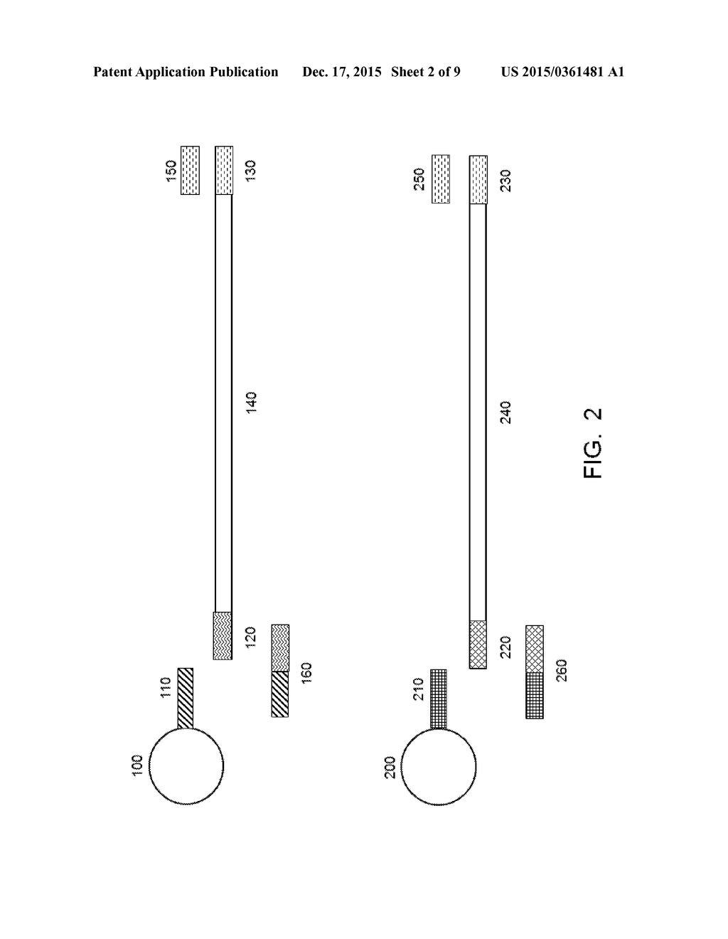 MULTIPLEX NUCLEIC ACID AMPLIFICATION - diagram, schematic, and image 03