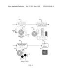 LABEL FREE MOLECULAR DETECTION METHODS, SYSTEMS AND DEVICES diagram and image