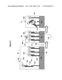 METHODS AND MATERIALS FOR DETECTING CONTAMINATED FOOD PRODUCTS diagram and image