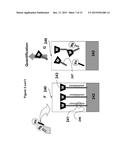 METHODS AND MATERIALS FOR DETECTING CONTAMINATED FOOD PRODUCTS diagram and image