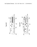 METHODS AND MATERIALS FOR DETECTING CONTAMINATED FOOD PRODUCTS diagram and image