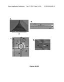 BIOMOLECULAR PROCESSING PLATFORM AND USES THEREOF diagram and image