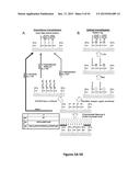 BIOMOLECULAR PROCESSING PLATFORM AND USES THEREOF diagram and image