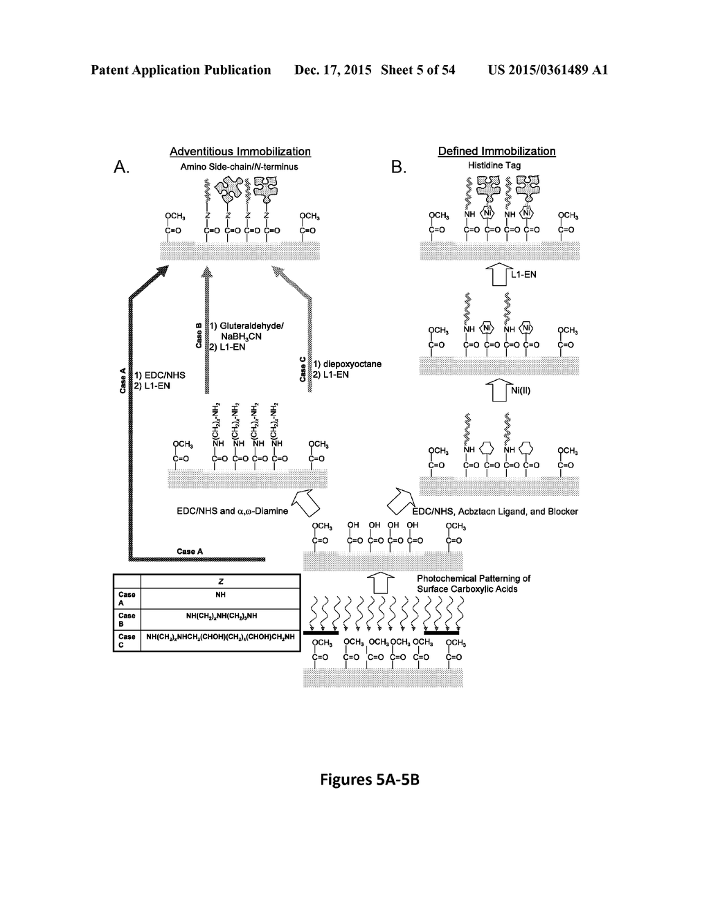 BIOMOLECULAR PROCESSING PLATFORM AND USES THEREOF - diagram, schematic, and image 06