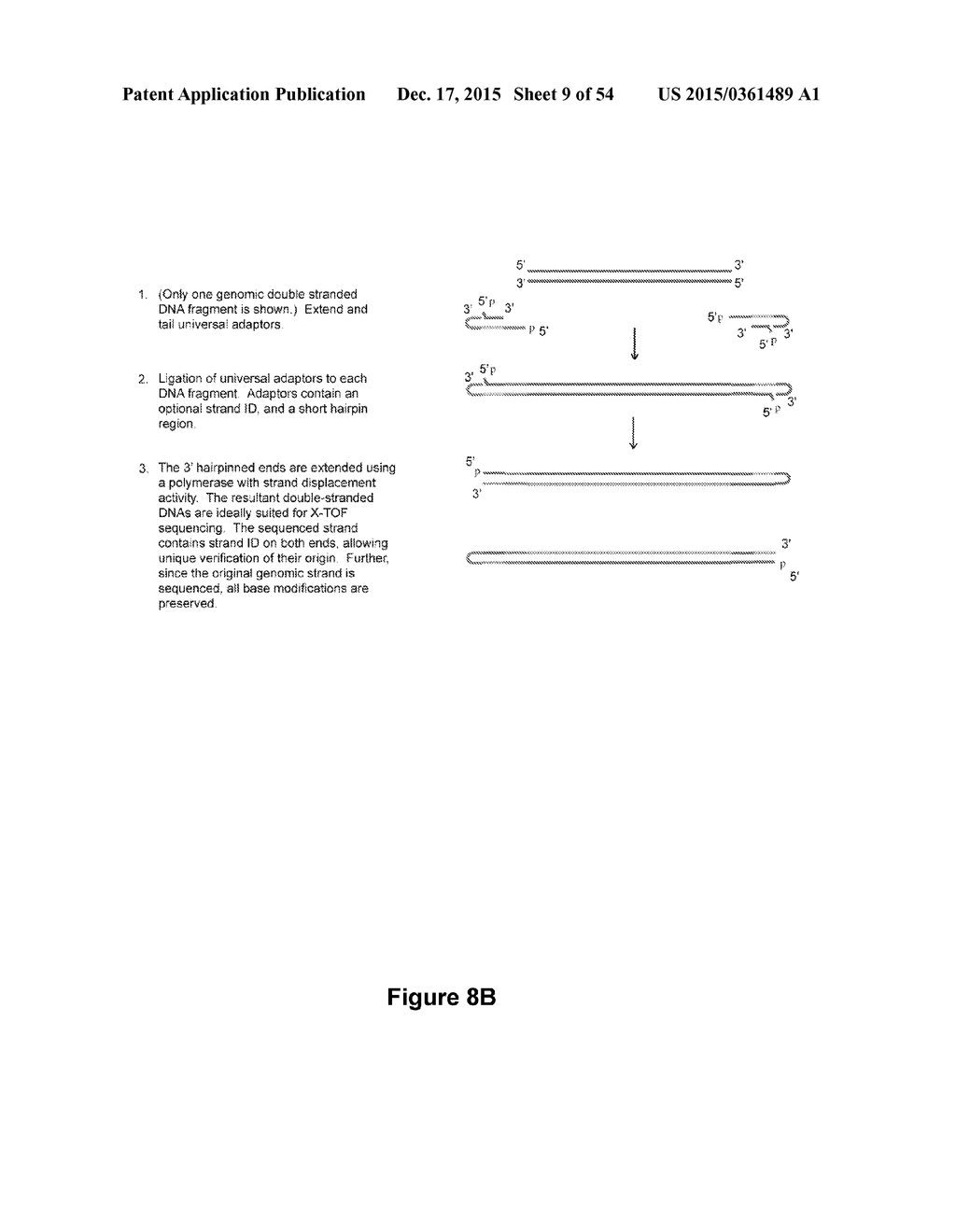 BIOMOLECULAR PROCESSING PLATFORM AND USES THEREOF - diagram, schematic, and image 10