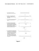 BIOMOLECULAR PROCESSING PLATFORM AND USES THEREOF diagram and image