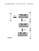 BIOMOLECULAR PROCESSING PLATFORM AND USES THEREOF diagram and image