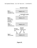 BIOMOLECULAR PROCESSING PLATFORM AND USES THEREOF diagram and image