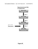 BIOMOLECULAR PROCESSING PLATFORM AND USES THEREOF diagram and image