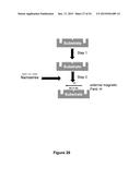 BIOMOLECULAR PROCESSING PLATFORM AND USES THEREOF diagram and image