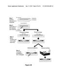 BIOMOLECULAR PROCESSING PLATFORM AND USES THEREOF diagram and image