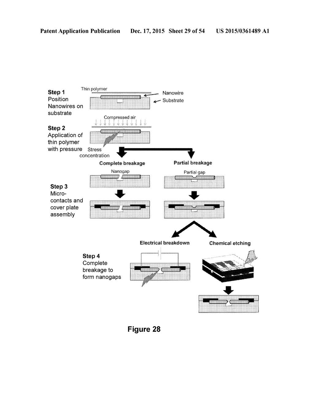 BIOMOLECULAR PROCESSING PLATFORM AND USES THEREOF - diagram, schematic, and image 30