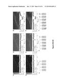 BIOMOLECULAR PROCESSING PLATFORM AND USES THEREOF diagram and image