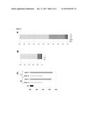 THERAPEUTICS AND DIAGNOSTICS BASED ON MINISATELLITE REPEAT ELEMENT 1     (MSR1) diagram and image