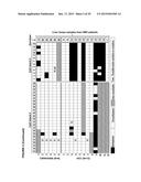 Detection of hepatitis B virus (HBV) DNA and methylated HBV DNA in urine     of patients with HBV-associated hepatocellular carcinoma diagram and image