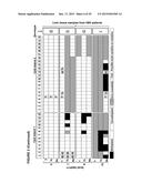 Detection of hepatitis B virus (HBV) DNA and methylated HBV DNA in urine     of patients with HBV-associated hepatocellular carcinoma diagram and image