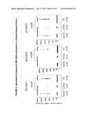 Detection of hepatitis B virus (HBV) DNA and methylated HBV DNA in urine     of patients with HBV-associated hepatocellular carcinoma diagram and image