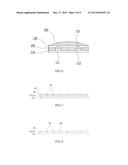 DEVICE FOR DETECTING LEAKAGE OF ACIDIC SOLUTION diagram and image