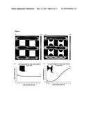 MICRODEVICES FOR SEPARATION OF NON-SPHERICAL PARTICLES AND APPLICATIONS     THEREOF diagram and image