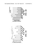 METHODS AND ASSAYS RELATING TO RNF216 diagram and image