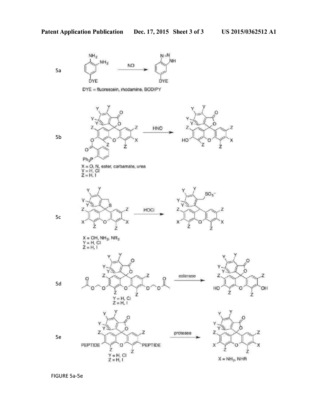 Composition, Device and Imaging System for Analysis Using Chemiluminescent     Probes - diagram, schematic, and image 04