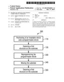 Method and Apparatus for Exposing a Structure on a Substrate diagram and image