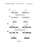 METHODS FOR GENOME ASSEMBLY AND HAPLOTYPE PHASING diagram and image