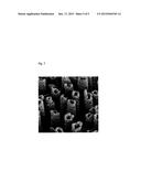 TITANIUM OXIDE NANOSTRUCTURES FOR FUEL CELL ELECTRODES diagram and image