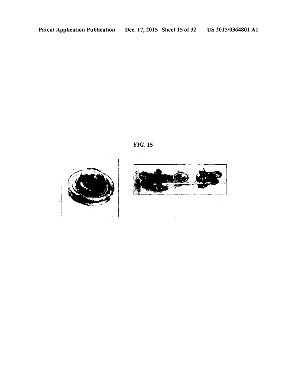 IONIC LIQUID ELECTROLYTE AND FLUORINATED CARBON ELECTRODE - diagram, schematic, and image 16