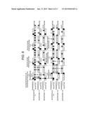 WIRELESS COMMUNICATION SYSTEM AND TRANSMITTER diagram and image