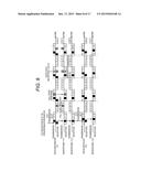 WIRELESS COMMUNICATION SYSTEM AND TRANSMITTER diagram and image