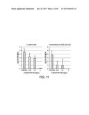 COMPOSITION WITH HIGH ANTIMICROBIAL ACTIVITY AND LOW TOXICITY diagram and image