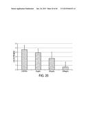 COMPOSITION WITH HIGH ANTIMICROBIAL ACTIVITY AND LOW TOXICITY diagram and image