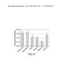 COMPOSITION WITH HIGH ANTIMICROBIAL ACTIVITY AND LOW TOXICITY diagram and image