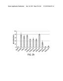 COMPOSITION WITH HIGH ANTIMICROBIAL ACTIVITY AND LOW TOXICITY diagram and image