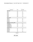 COMPOSITION WITH HIGH ANTIMICROBIAL ACTIVITY AND LOW TOXICITY diagram and image