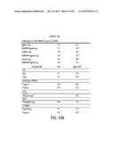 COMPOSITION WITH HIGH ANTIMICROBIAL ACTIVITY AND LOW TOXICITY diagram and image