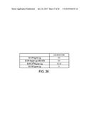 COMPOSITION WITH HIGH ANTIMICROBIAL ACTIVITY AND LOW TOXICITY diagram and image